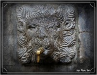 /album/fotogaleria-girona/img-1289-inpixio-640x480-jpg/